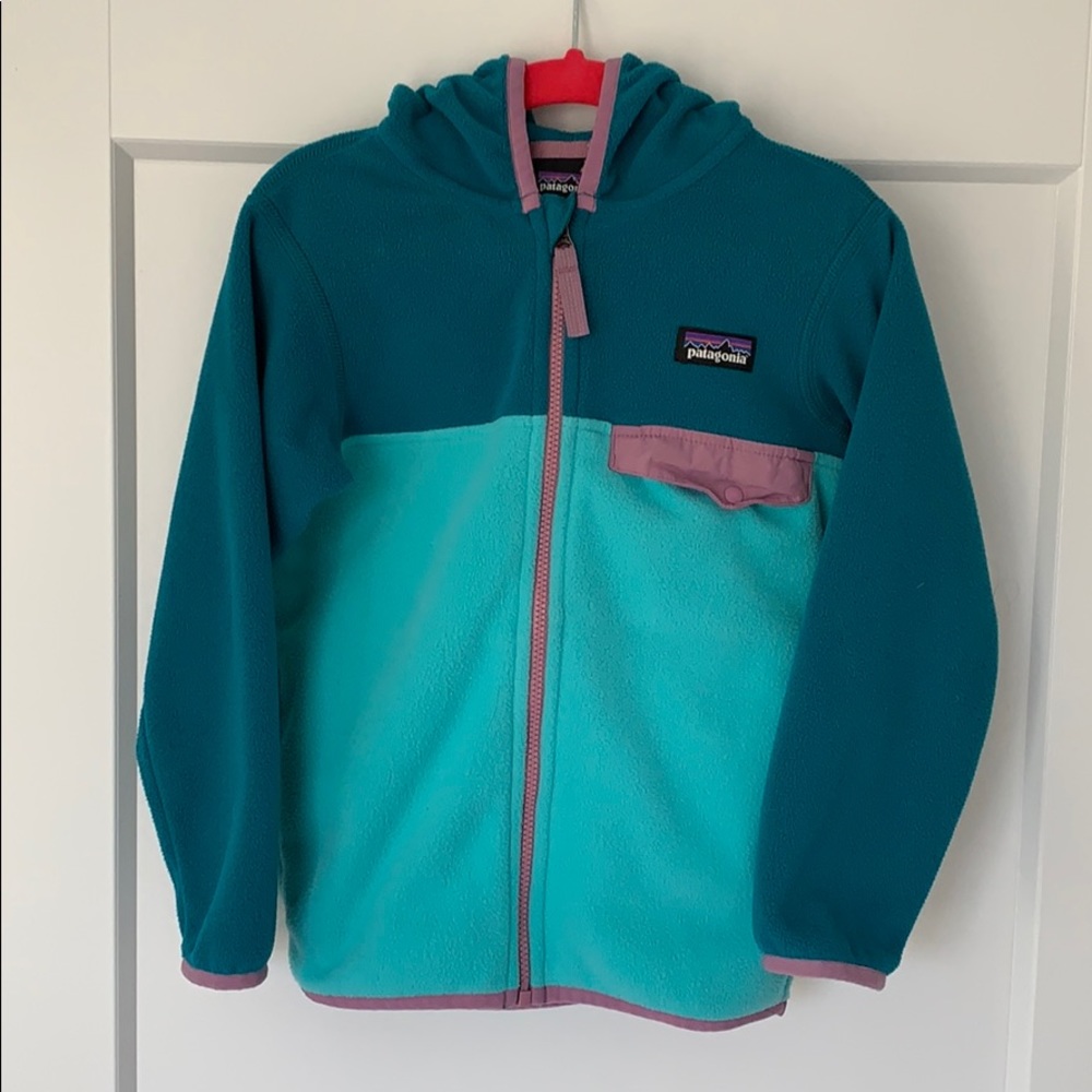 Patagonia Micro D Snap-T fleece jacket